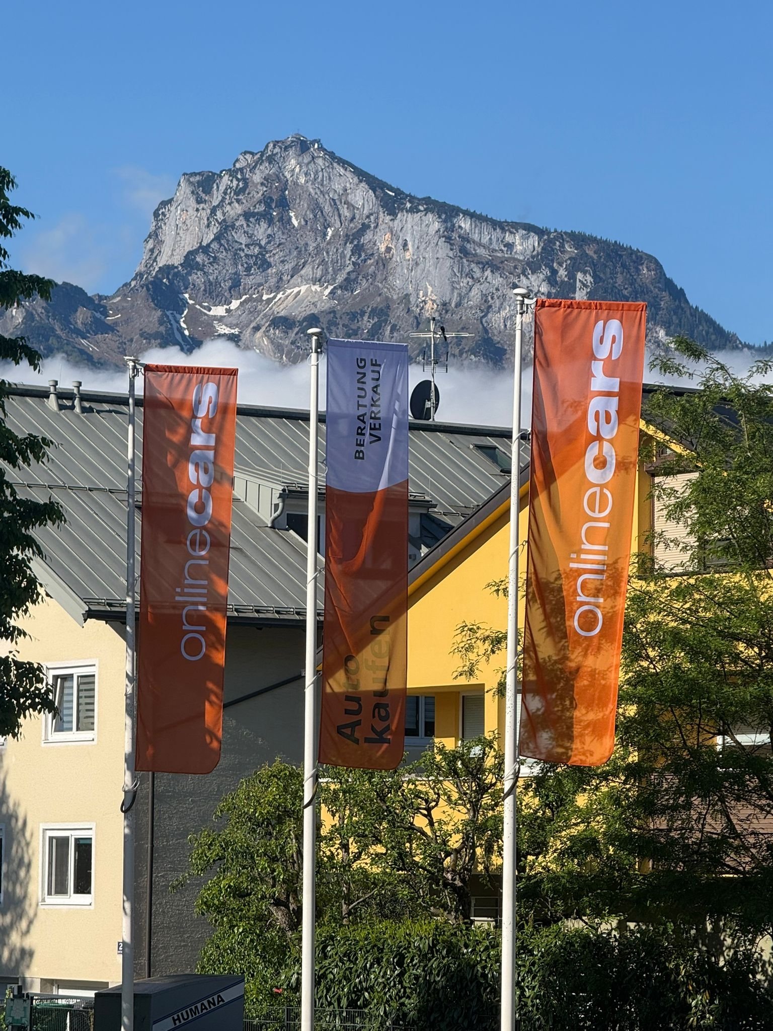 Image (3)
